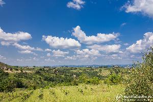 martinkuehn_eu_2672_it23_10014.jpg